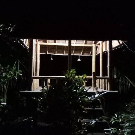 Bali Mountain Forest Cabin Penebel Екстериор снимка