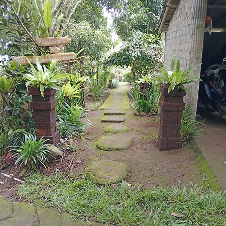 Bali Mountain Forest Cabin Penebel Екстериор снимка