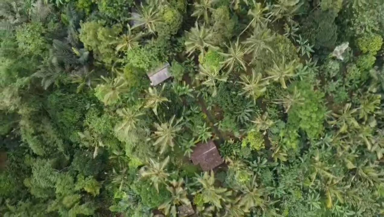 Bali Mountain Forest Cabin Penebel Екстериор снимка
