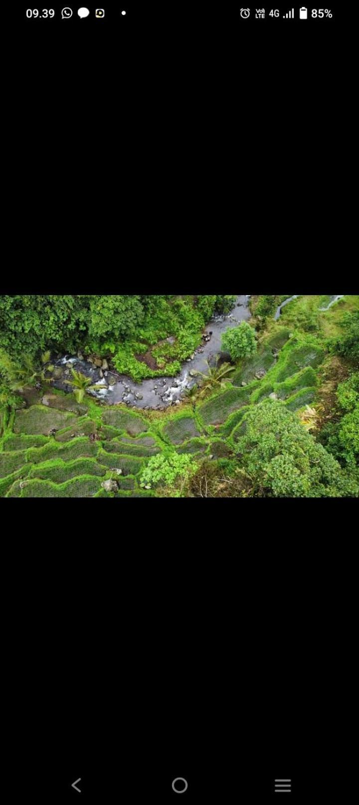 Bali Mountain Forest Cabin Penebel Екстериор снимка