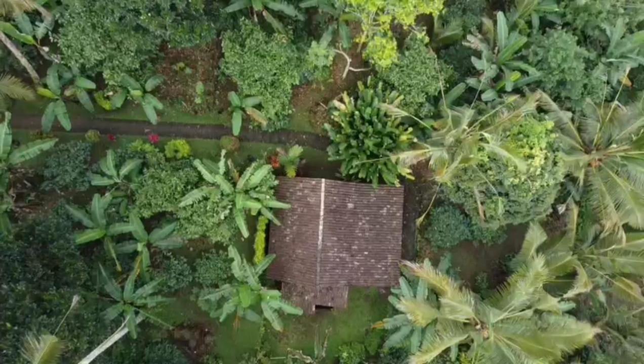 Bali Mountain Forest Cabin Penebel Стая снимка