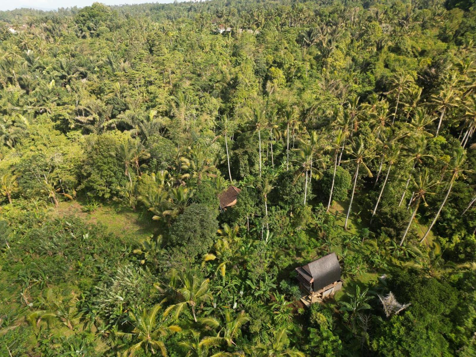 Bali Mountain Forest Cabin Penebel Стая снимка