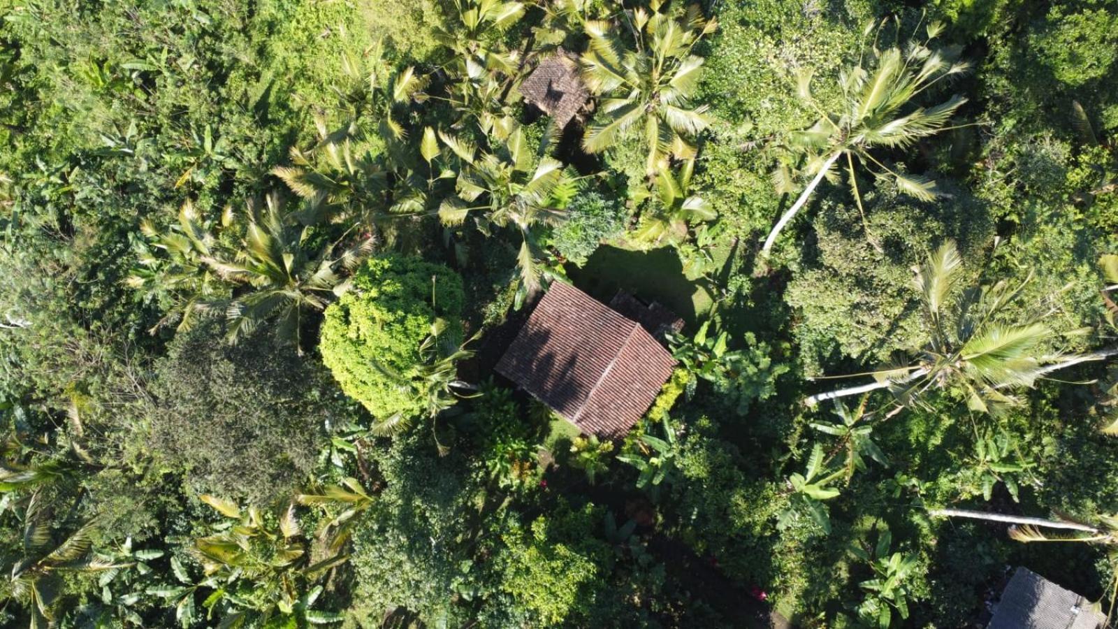 Bali Mountain Forest Cabin Penebel Стая снимка