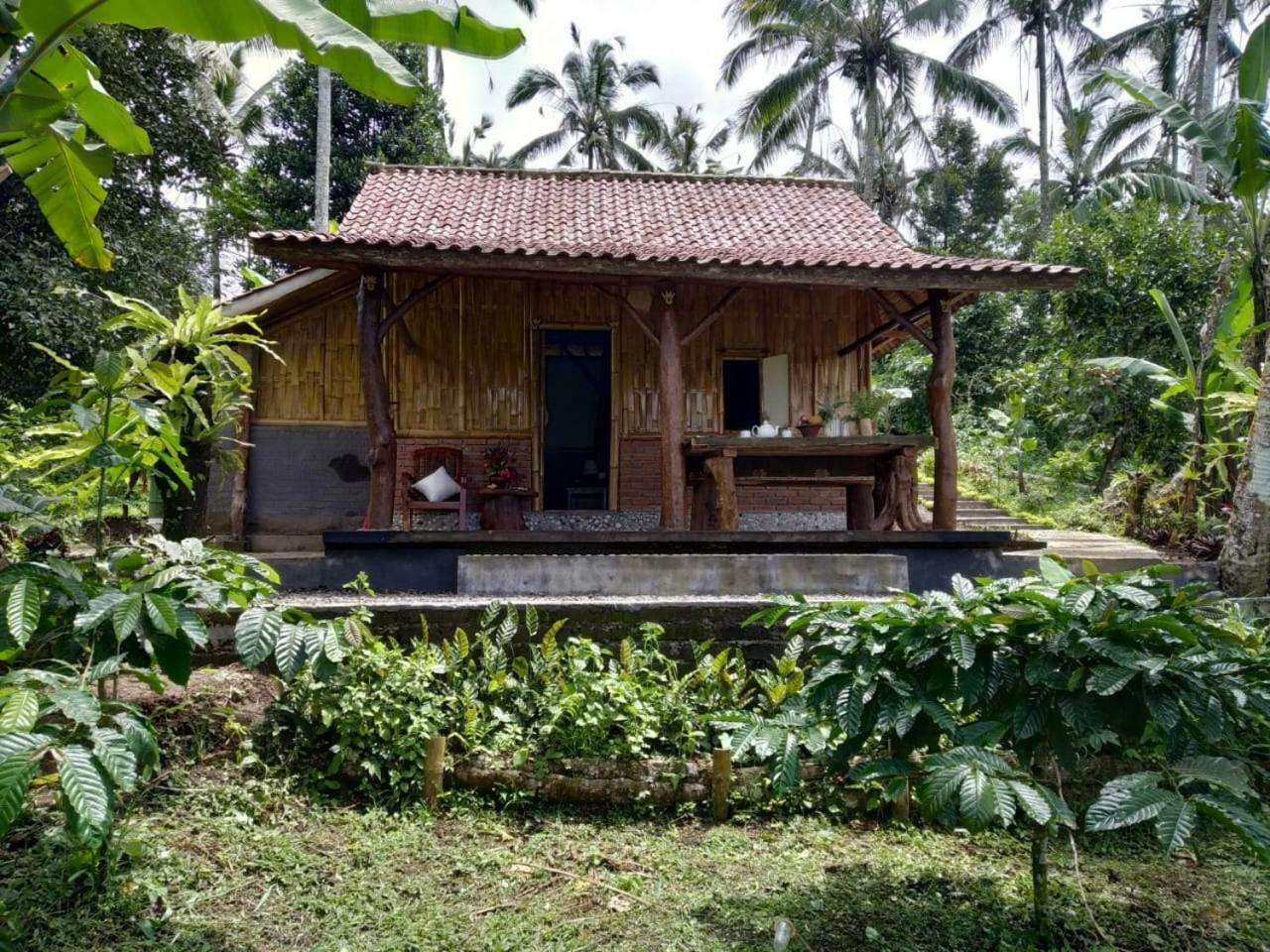 Bali Mountain Forest Cabin Penebel Екстериор снимка