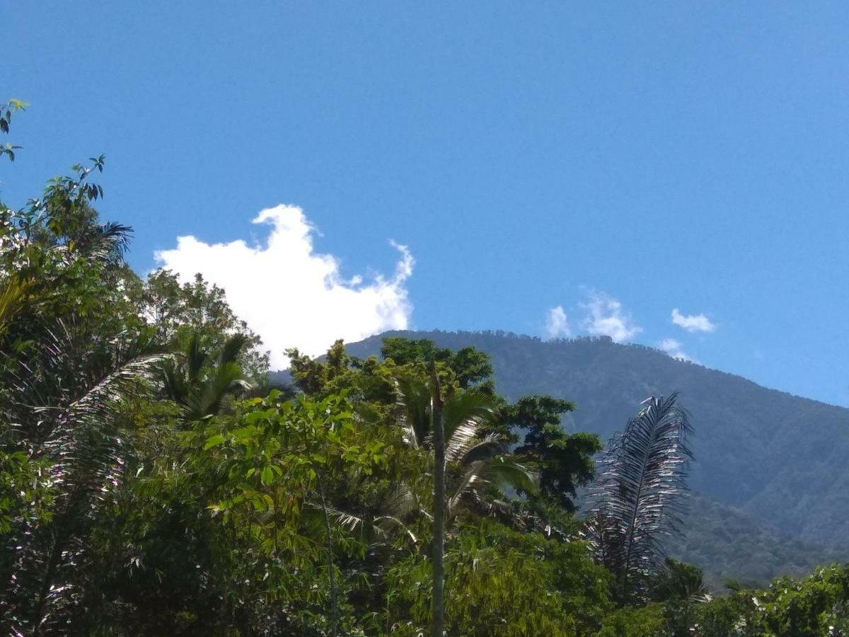 Bali Mountain Forest Cabin Penebel Екстериор снимка